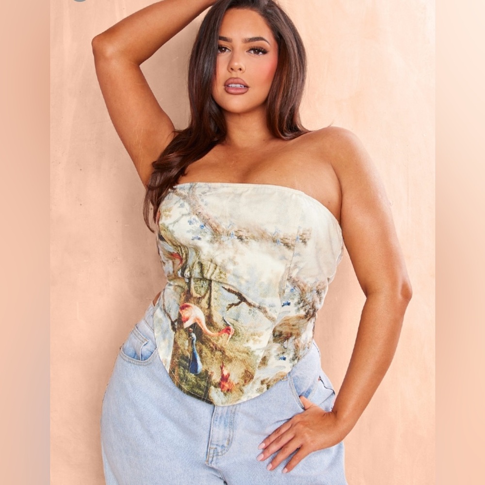 PLT Painted Print Lace Up Corset Bustier. BNWT.
